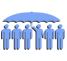 Click here to see more about Connexion Africa's Governance